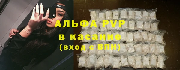 эйфоретик Белокуриха